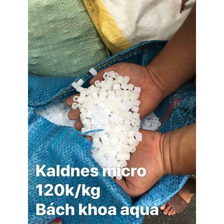 Hạt lọc Kaldnes