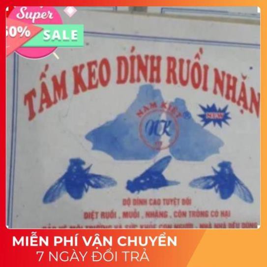 10 tấm keo dính ruồi siêu dính