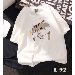 Áo thun mèo Ami/ Thun trắng mèo mập/ Mèo xám/Hình thật