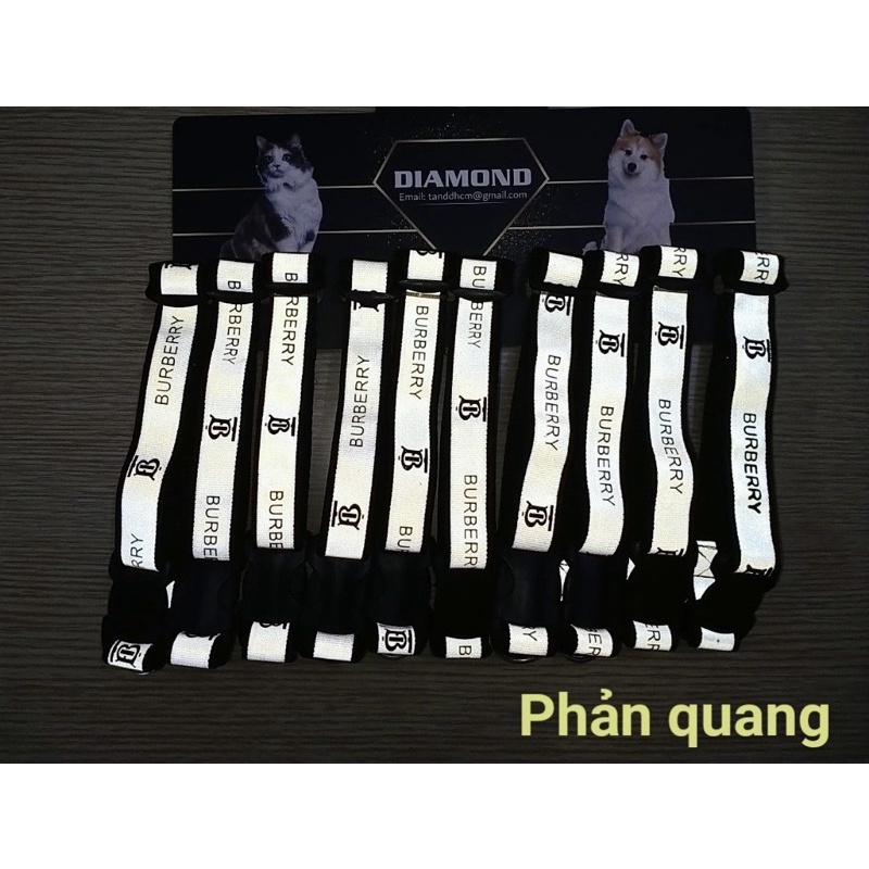 Vòng cổ size trung cho chó mèo
