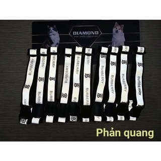 Vòng cổ size trung cho chó mèo