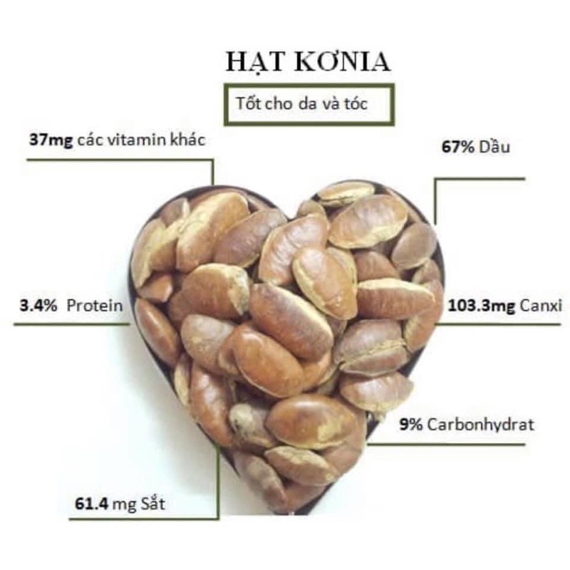 500gr~1kg Hạt kơnia Đaklak rang muối chỉ việc ăn