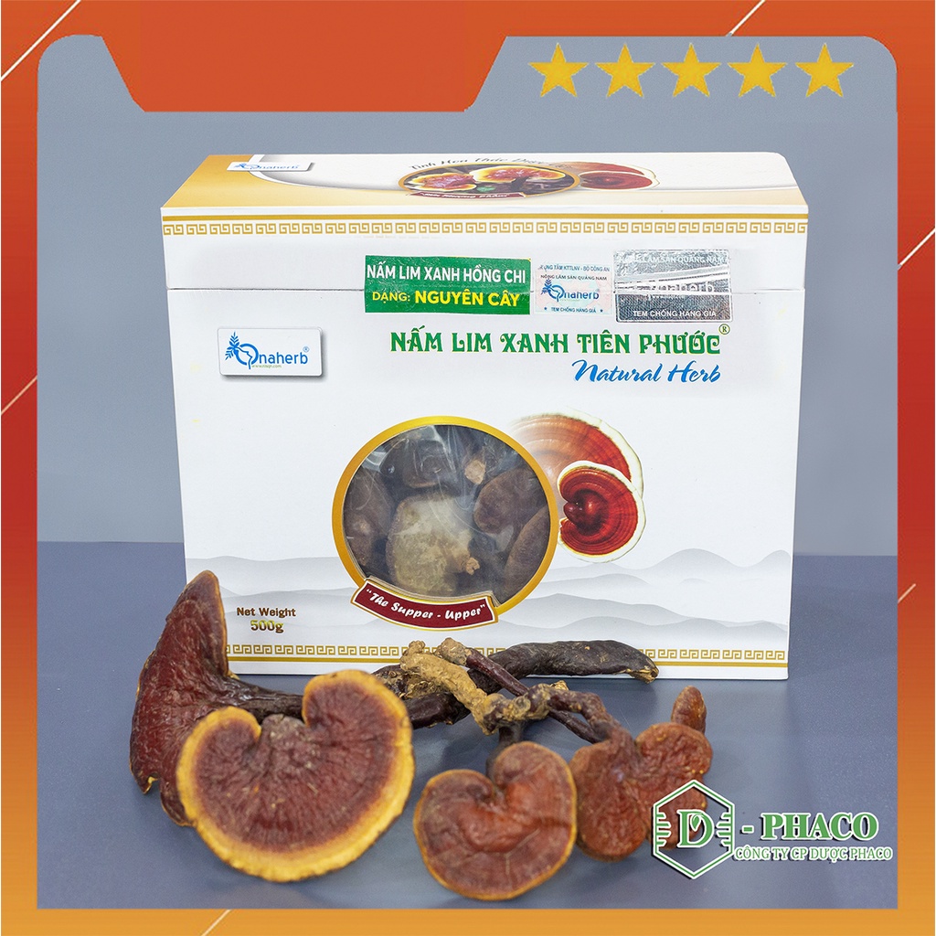 Nấm Lim Xanh Tiên Phước - Nguyên cây 500GR