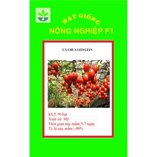Gói 30 hạt giống cà chua leo giàn xuất xứ mỹ