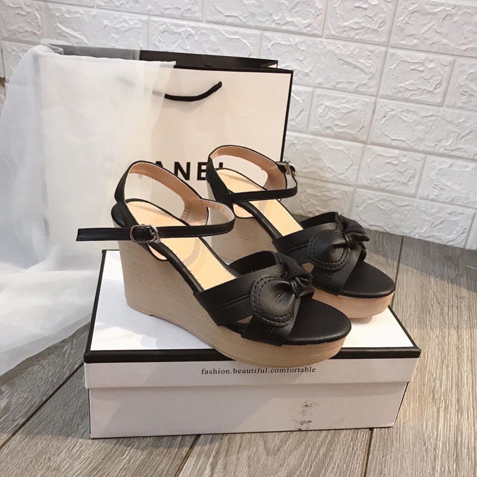 Sandan đế xuồng