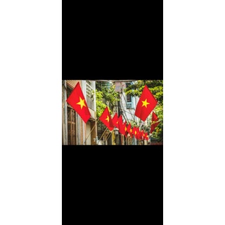 Cờ Tổ quốc- cờ quốc kỳ - cờ Việt Nam nhiều cỡ