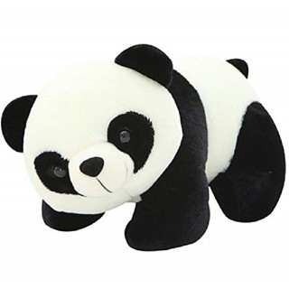 Gấu bông gối ôm Gấu trúc (55cm) CAO CẤP GIÁ RẺ DỄ THƯƠNG XINH XẮN