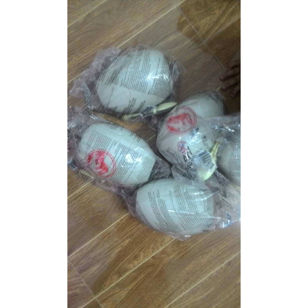 Đồ chơi trứng khủng long