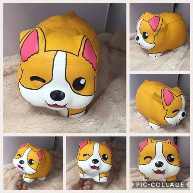 Heo đất chó Corgi