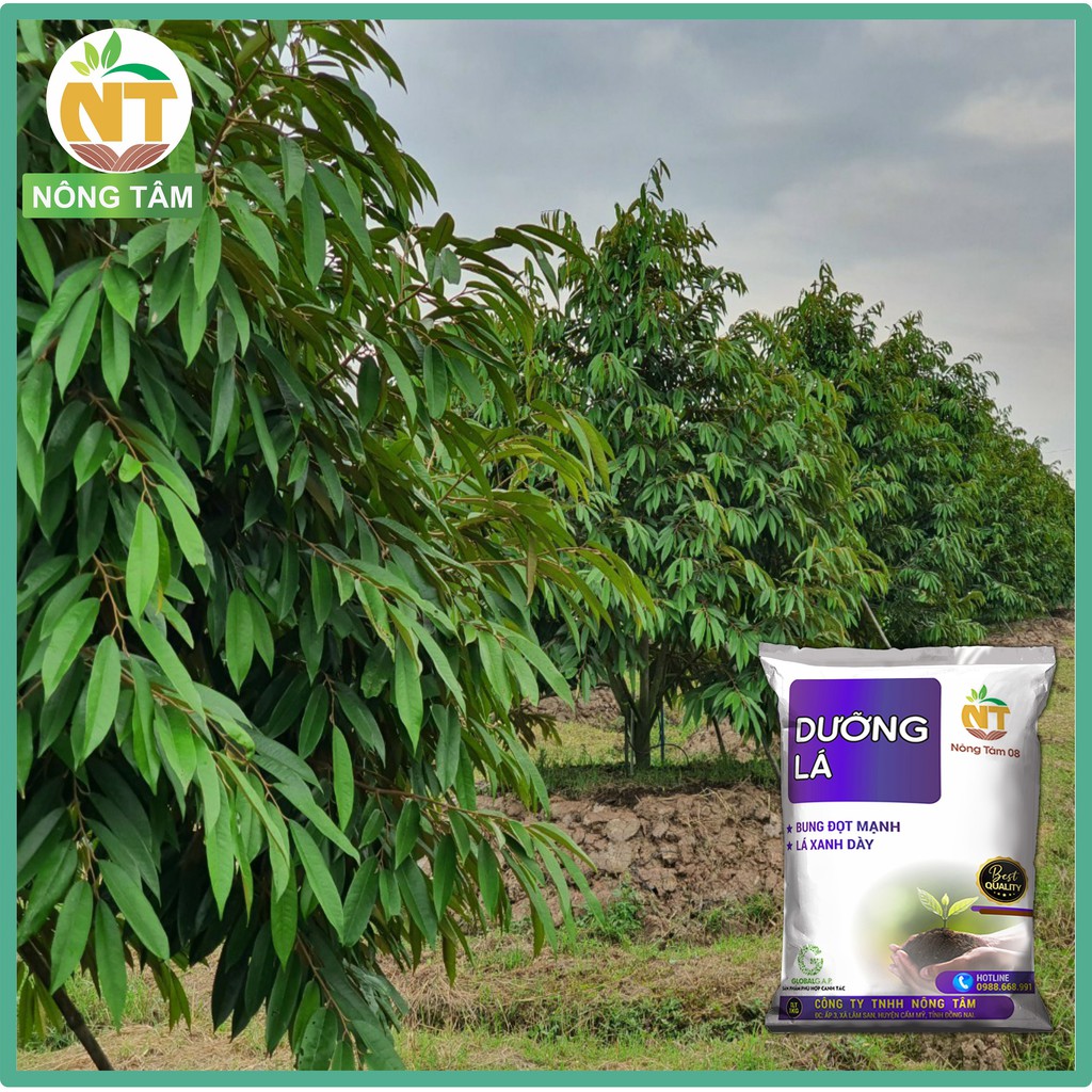 Phân bón Dưỡng lá, kéo đọt chuyên dùng cho cây ăn trái, cây công nghiệp, gói 1kg