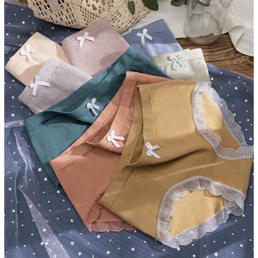 Quần Lót Cotton Nơ Tông Màu Solid Color - LADY
