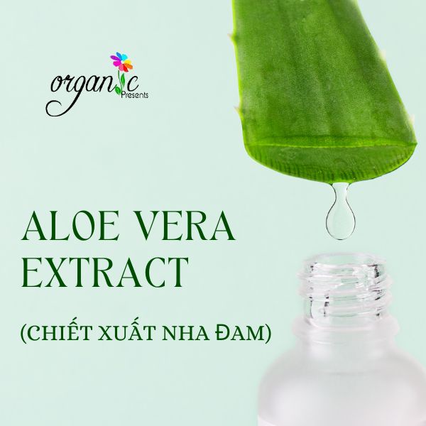ALOE VERA EXTRACT