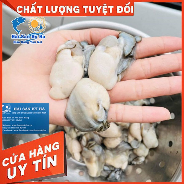 Giá Sỉ - Ruột Hàu Sữa Giá Sỉ Rẻ Nhất