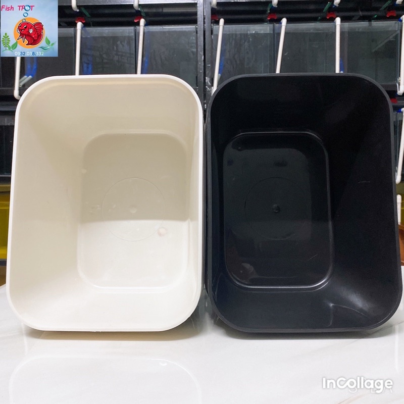 Combo 3 Khay Nhựa Nuôi Cá / Thùng Kem Nuôi Cá 7 lít