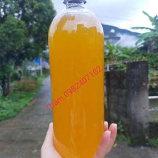 Mật ong rừng nguyên chất tây bắc
