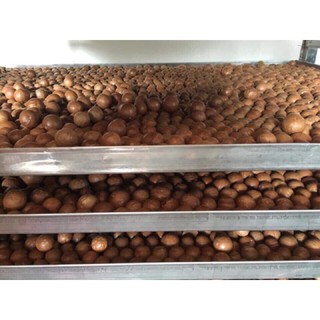 Hạt Macca Lai Châu Sạch 1kg