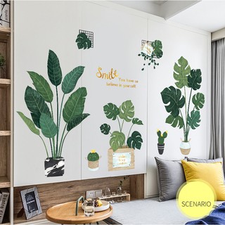 Decal dán tường Combo chậu cây size to