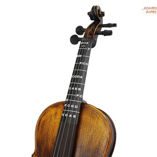 Sticker dán Fretboard có đánh dấu vị trí nốt nhạc độc đáo tiện dụng cho đàn Violin 4/4