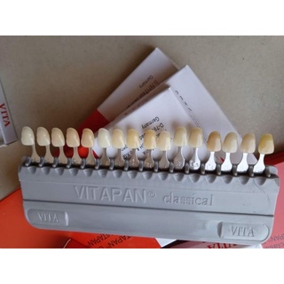 Vỉ so màu vita 3d