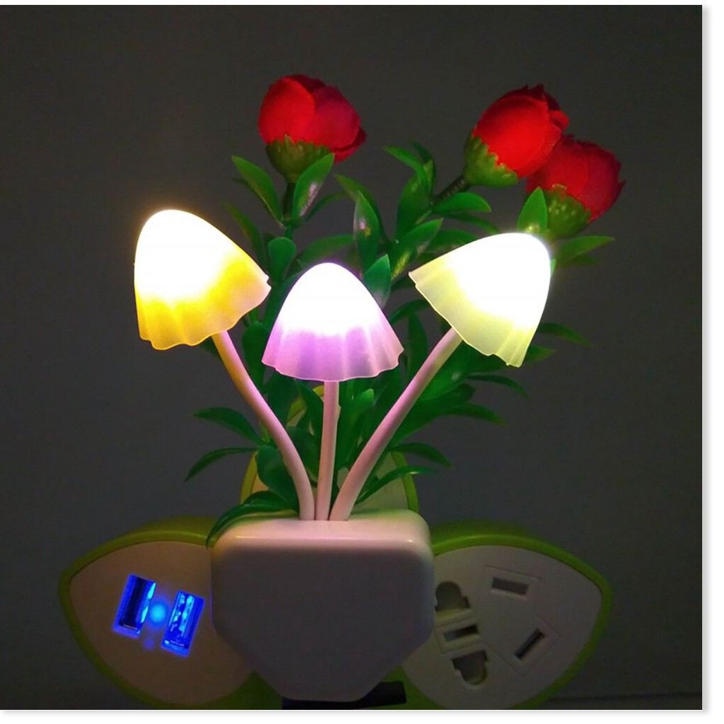 Đèn ngủ SALE ️ Đèn ngủ cảm ứng đổi màu, thiết kế xinh xắn 3560