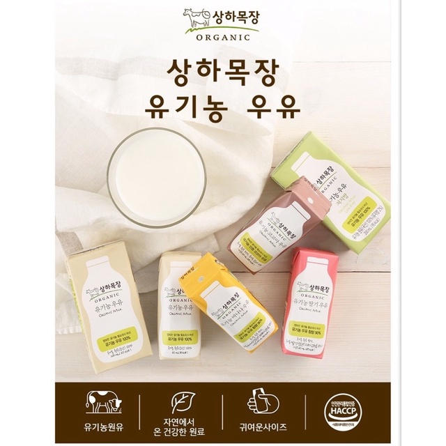[date t8-t9/2022] Lốc 4 hộp sữa tươi organic Sanghafarm Maeil Hàn Quốc 125m