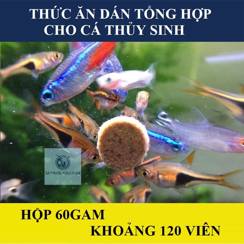 Thức ăn viên dán cho cá Astaxanthin &amp; Spirulina Patch Fish Food