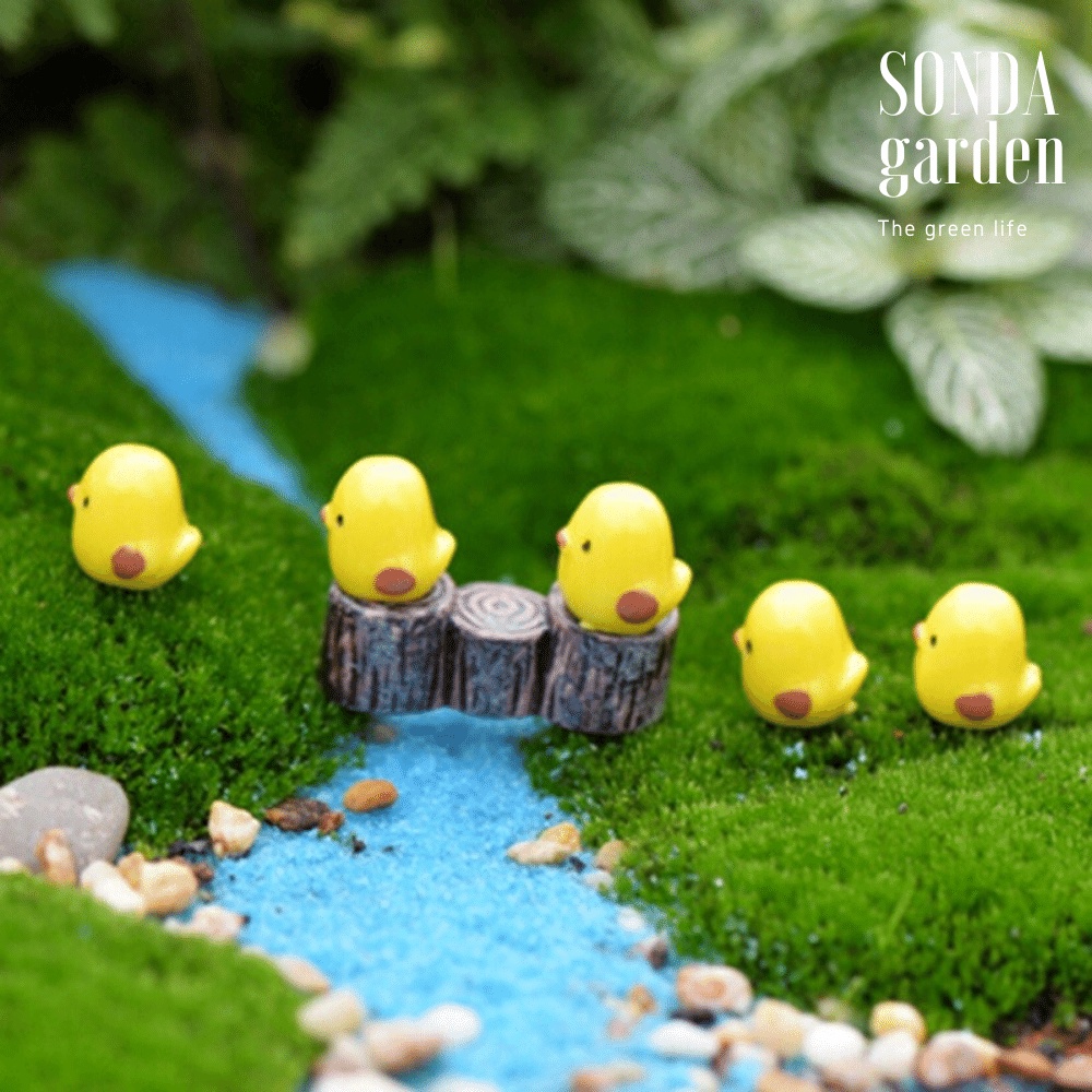 Phụ kiện 5 chú gà con SONDA GARDEN siêu dễ thương