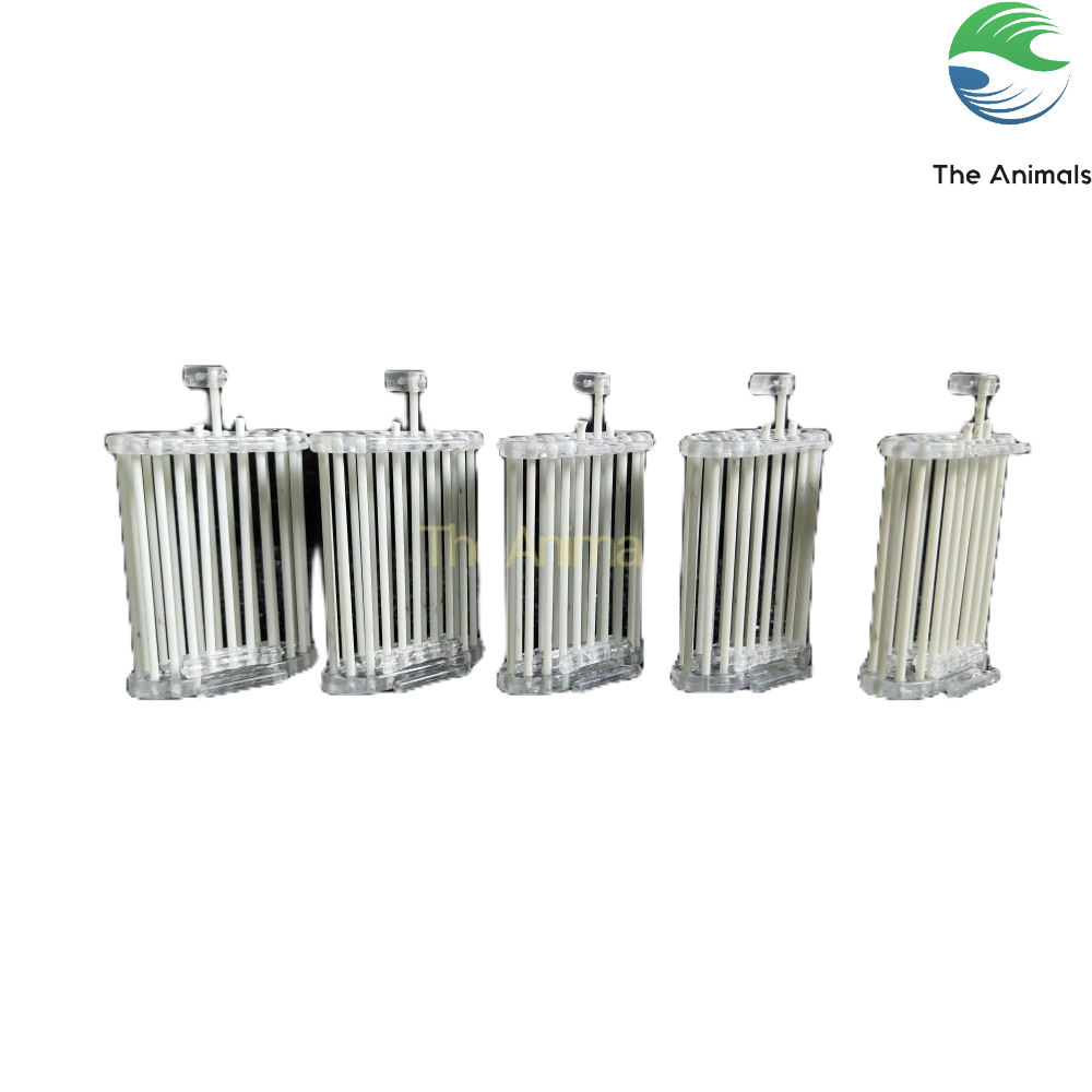 [Combo 5 cái] Rọ nhốt cào cáo, dế cho chim chào mào, chim khướu, chim khuyên