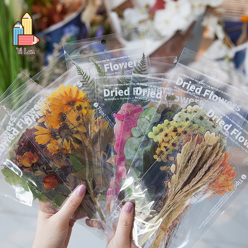 Set 6 Tấm Hình Dán Họa Tiết Hoa Lá Trang Trí Sổ Tay Nhật Ký DIY