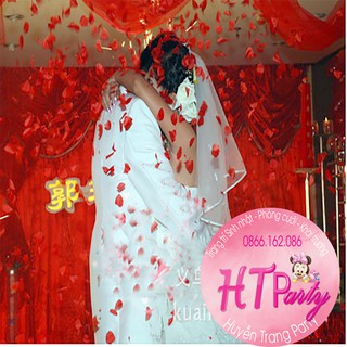 Pháo giấy phụt hoa hồng