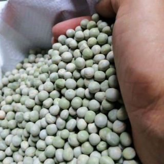 Sỉ 10kg đậu hà lan