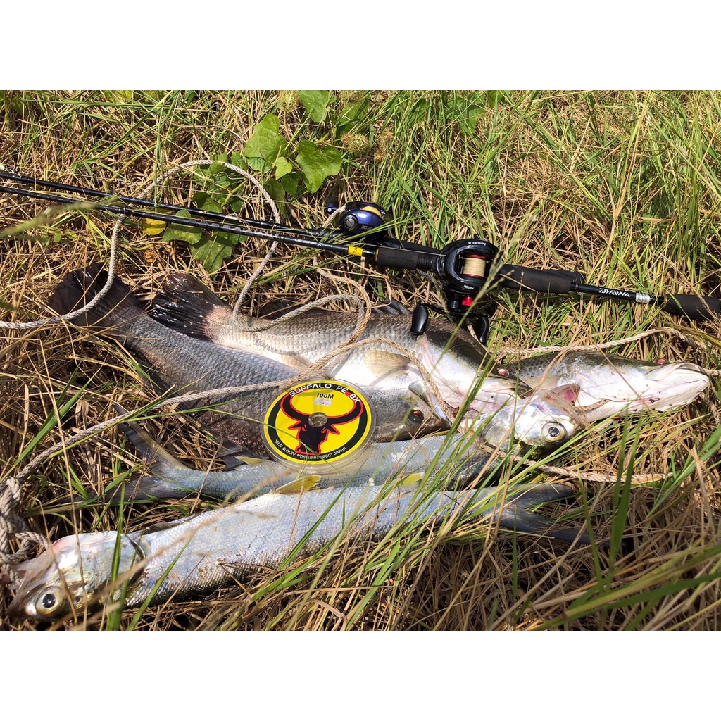 Big sale / DÂY PE 9X BUFFALO TRÂU BÒ 7 MÀU size 150m 1.0 1.5 2.0 2.5 3.0 4.0 cước câu cá dây dù