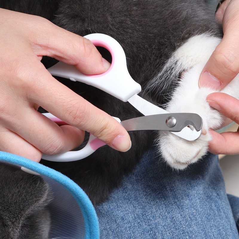 Kìm cắt móng dành cho chó mèo kèm dũa, nhỏ gọn tiện lợi