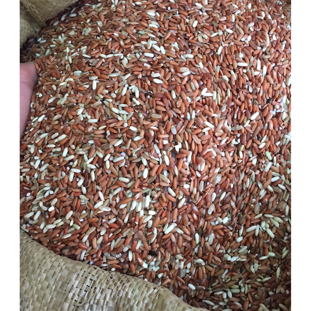 Gạo Nứt Đỏ Dẻo Điện Biên đóng gói 1kg dùng để ăn kiêng, giảm cân,hỗ trợ điều trị tốt cho người bị tiểu đường | BigBuy360 - bigbuy360.vn