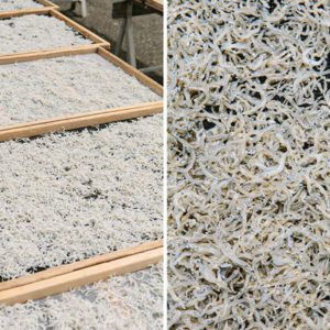 Cá cơm mờm khô  thịt thơm ngon 500g - 1kg tại biển Nghệ An - khô cá mờm