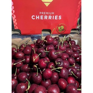 Cherry Chile size 30 bao giòn ngọt 430k/kg