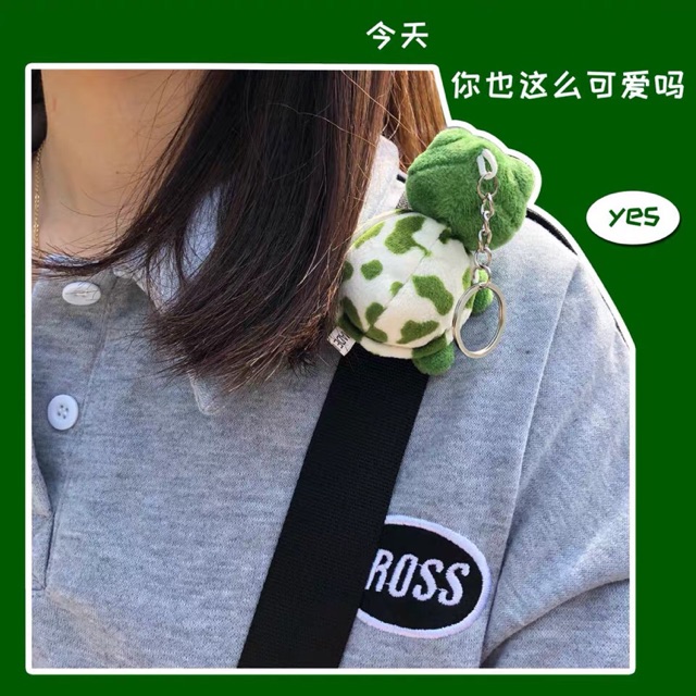 Huy hiệu, ghim cài con rùa