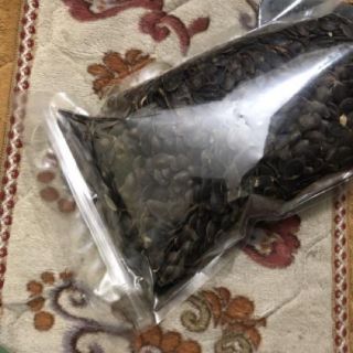 Sỉ như lẻ hạt bí mèo đen chín 500g - 1kg