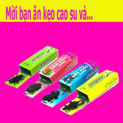 Singum con gián - 1 cai - Giao màu Ngẫu nhiên