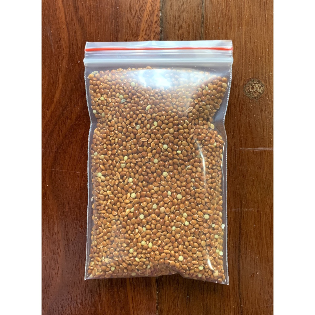 Hạt kê cho Hamster