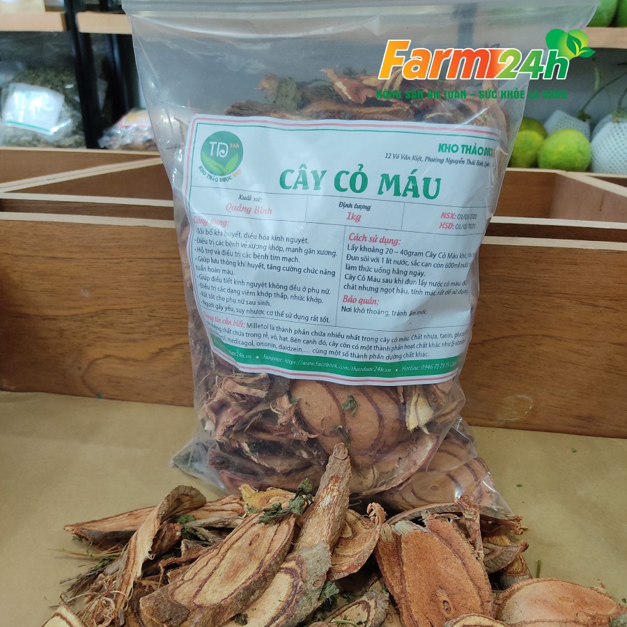 Cây cỏ máu Quảng Trị, bổ huyết, giúp tăng cân, ngừa suy nhược cơ thể | Farm24h