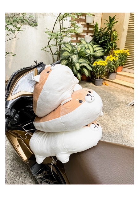 Gấu bông chó Shiba chân ngắn, mập lùn- Thú Nhồi Bông Chó Shiba Cao cấp mềm mượt