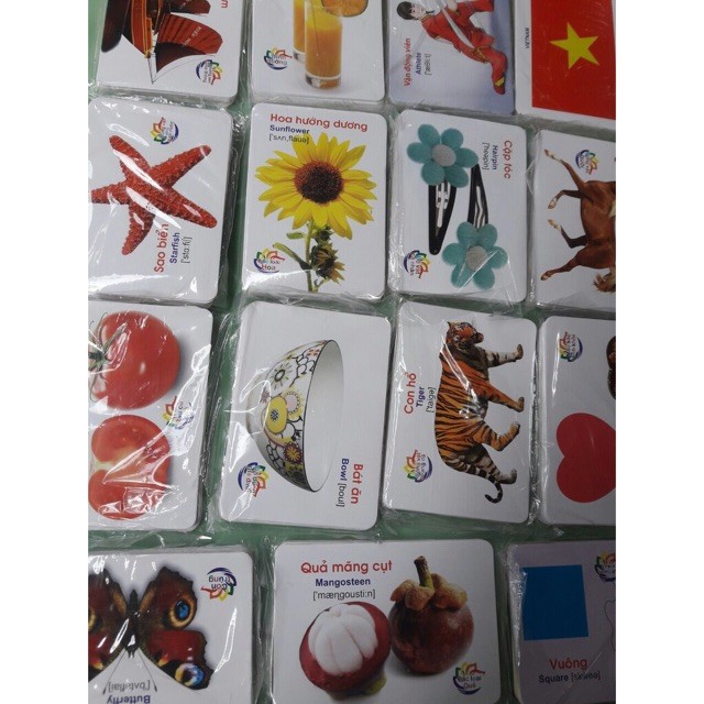 Flashcard khổ 10x7cm gồm 416 thẻ - Thẻ học thông minh 16 chủ đề