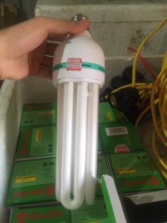 Bóng đèn Rạng Đông 50W SIÊU SÁNG