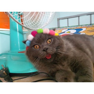 Vòng cổ cho chó mèo - trái lớn