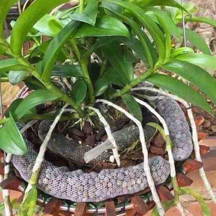 [Rẻ vô địch] Phân dê đựng trong túi lưới trồng lan đã qua xử lí size 10 cm, 20 cm, 30 cm