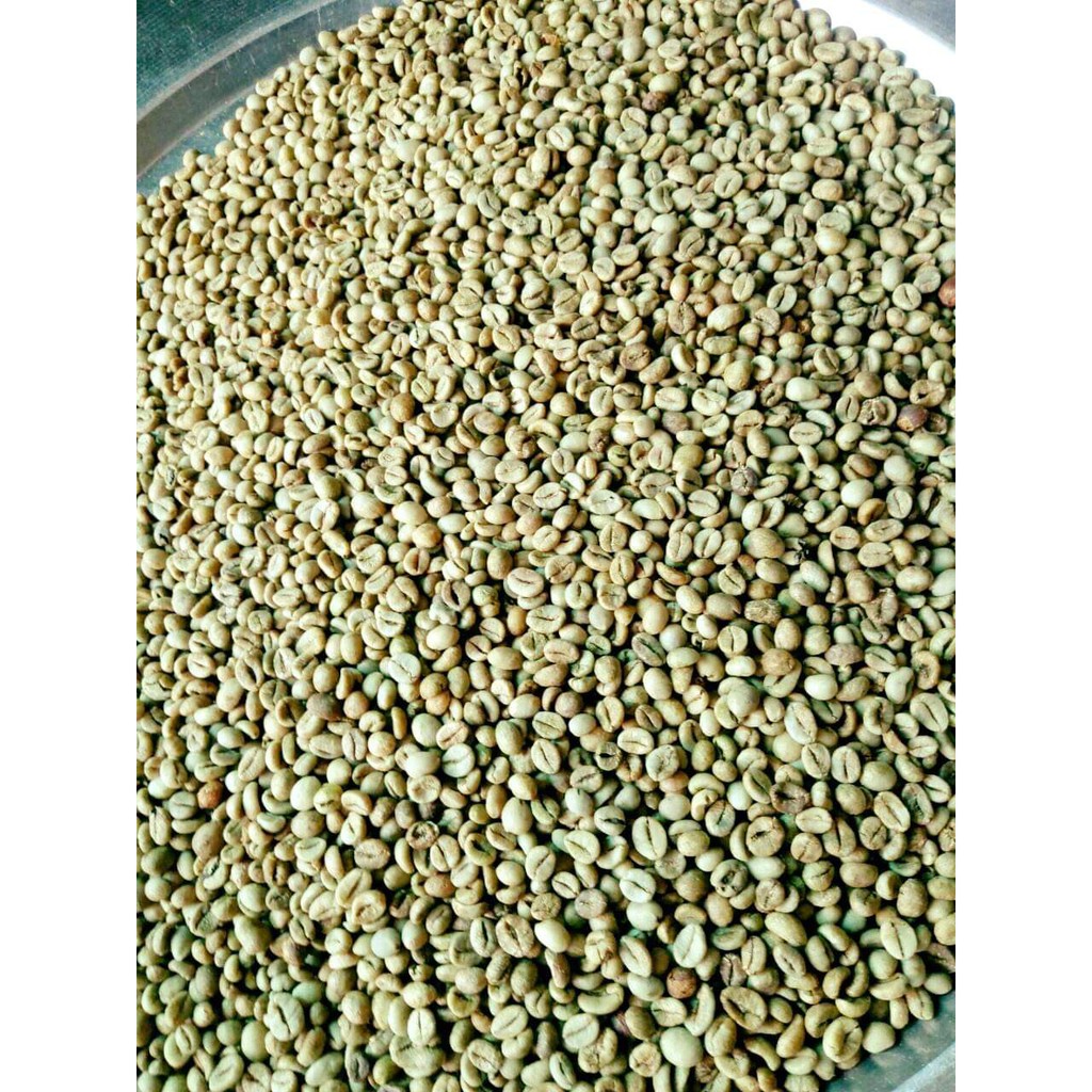 MAIHA COFFEE Thương hiệu độc quyền - Cà phê bột sản phẩm được nhiều người tin dùng nhất hiện nay. | BigBuy360 - bigbuy360.vn