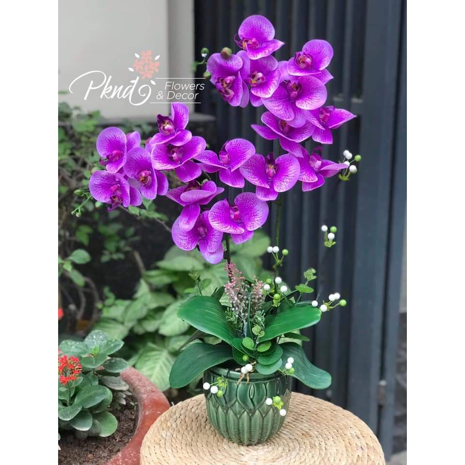 Chậu hoa lan hồ điệp giả trang trí phòng khách đẹp PKND FLOWERS &amp; DECOR