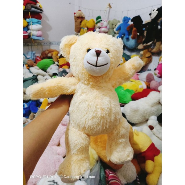 Teddy gấu bông dễ thương size 40_50cm
