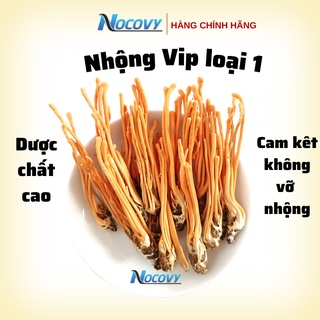 Đông trùng hạ thảo nguyên con Nocovy sấy khô Nocovy hàng Vip loại 1